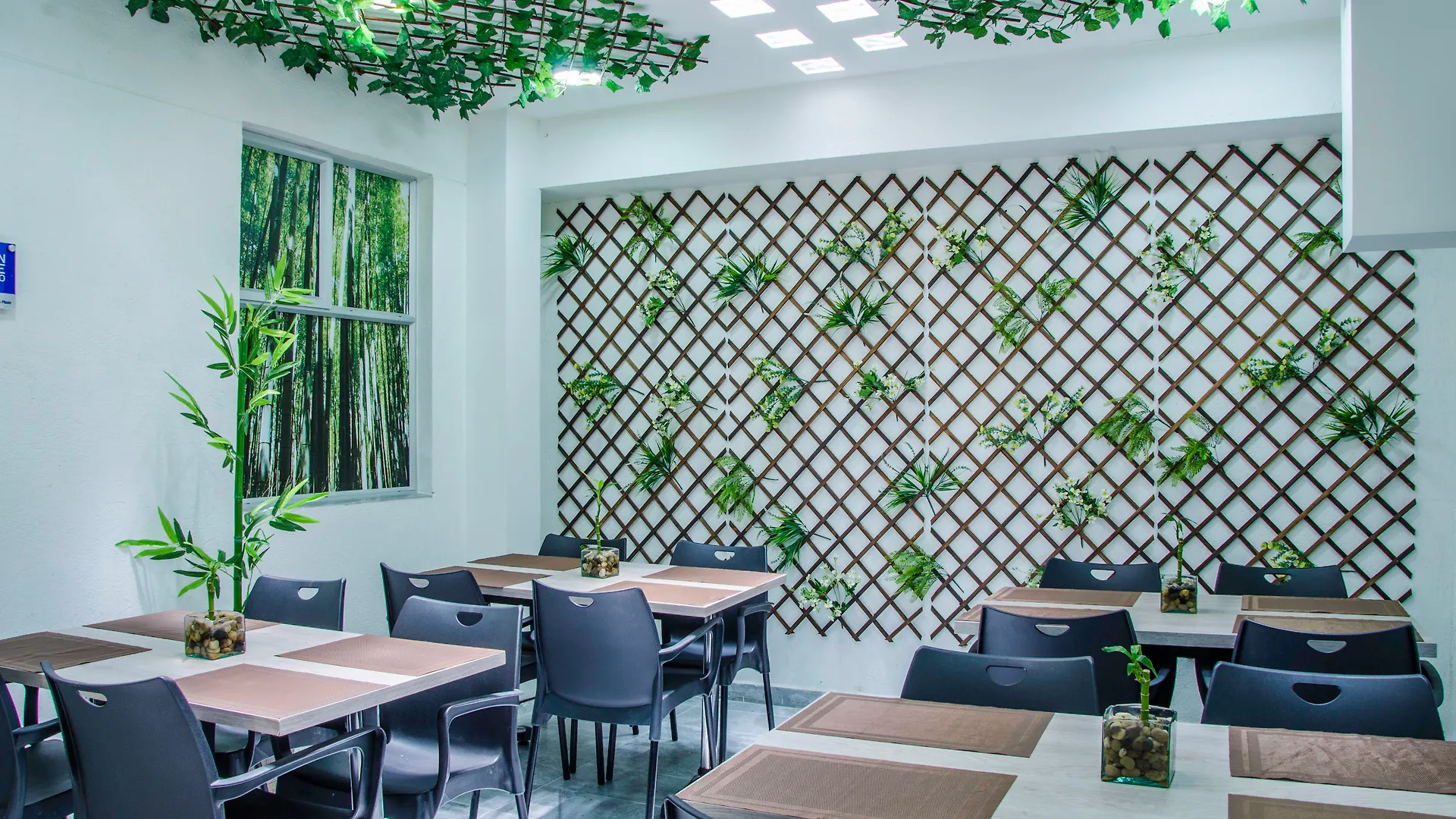 Hotel Laureles Plaza Medellin